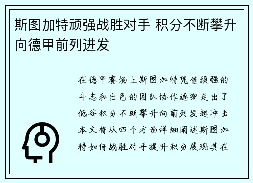 斯图加特顽强战胜对手 积分不断攀升向德甲前列进发