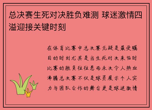 总决赛生死对决胜负难测 球迷激情四溢迎接关键时刻