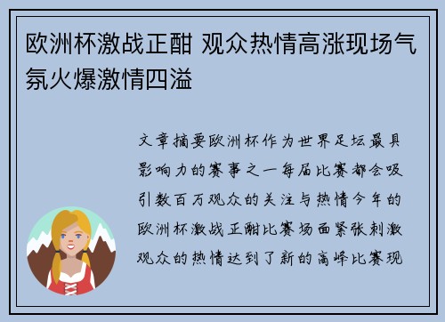 欧洲杯激战正酣 观众热情高涨现场气氛火爆激情四溢