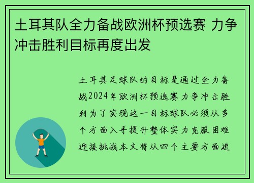 土耳其队全力备战欧洲杯预选赛 力争冲击胜利目标再度出发