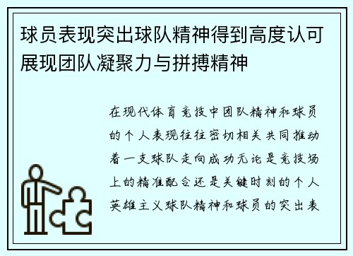 球员表现突出球队精神得到高度认可展现团队凝聚力与拼搏精神