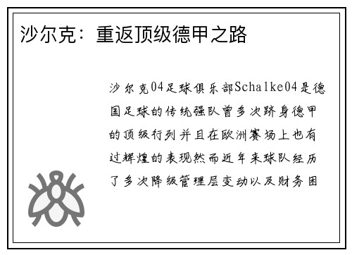 沙尔克：重返顶级德甲之路